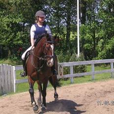 Anden særlig race Garcon ~solgt~