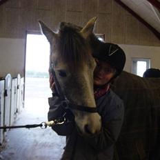 Anden særlig race Simba My Soul Mate