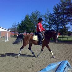 DSP Cedergårdens Toscana