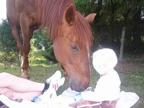 Traver Rocket Richard - Rocket og Julie på piknik ;o) billede 19