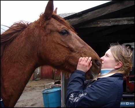 Traver Rocket Richard - Kosegutten min kan susse <3 billede 20