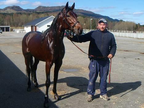 Traver Dressed For Fight - Tom og Fighter på travbanen, etter trening billede 7
