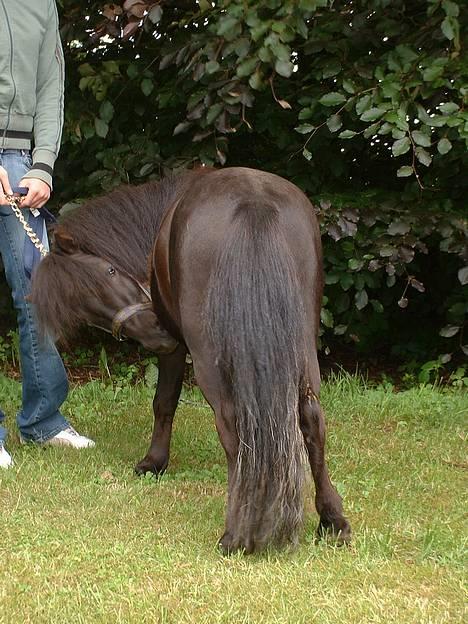 Miniature Bam - Uhh det klør! billede 15