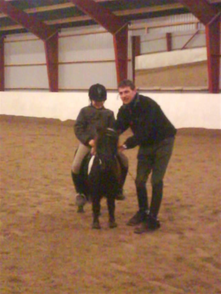 Miniature Bam - Bam og Kia til undevisning ved Ove Hansen :) (Over ville have et billede som han kunne sende rundt til sine venner da det var den mindste hest han noglesinge har undervist) ;) billede 19