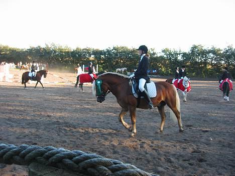 Haflinger Safir - Danske Bank Cup 9-10/9-2006 billede 12