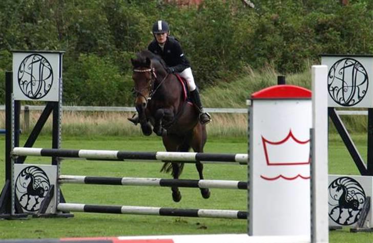Anden særlig race Felix - LA til holdmesterskab :) Fejlfri her! <3 Foto: Sarah billede 1