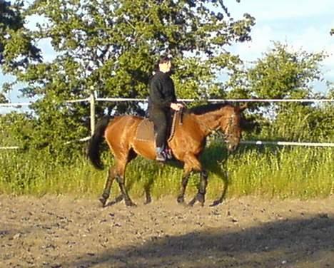 Anden særlig race *Matilde* (solgt) - så er der li lidt billeder af at vi ridder.. ik alle lige gode.. men det var hvad der blev ud af det hehe :) billede 8