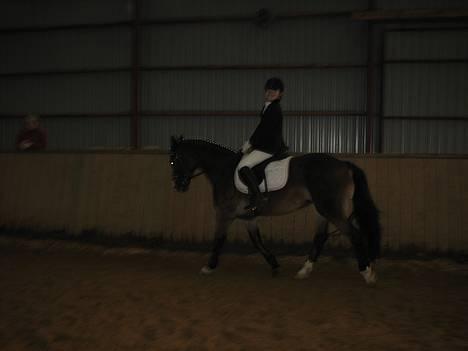 Anden særlig race Sunshine <3 Solgt :( - Stævne i Hammelev. Dressur . LD = 79 % . Vandt klassen <33 Min Dygtige pige (: billede 11