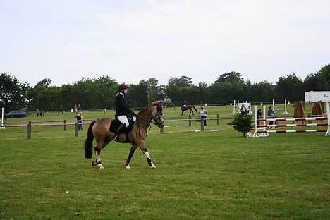 Anden særlig race silas<3<3 ***Solgt*** - Hygum 2006 billede 3