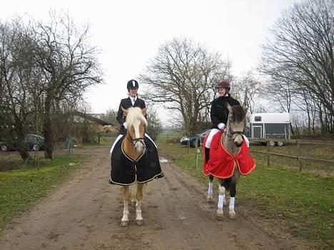 Anden særlig race silas<3<3 ***Solgt*** - opvarmningstur inden LB2, 2006 billede 4