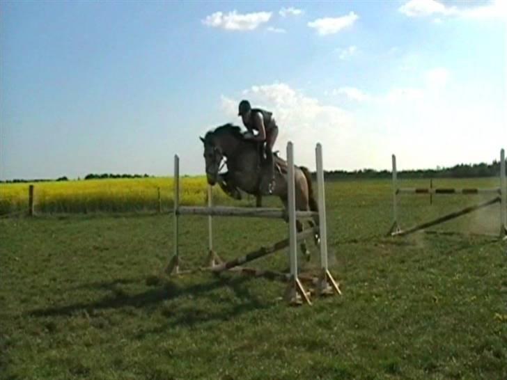 Anden særlig race silas<3<3 ***Solgt*** - 120 billede 5