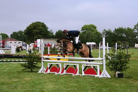 Anden særlig race silas<3<3 ***Solgt*** - hygum 2006 billede 8