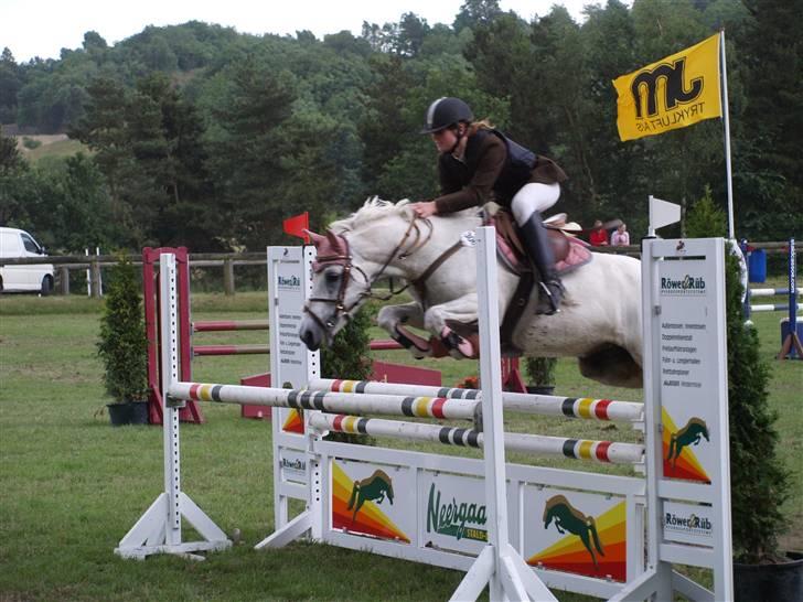 Connemara Skousboe sweet mandy SOLG billede 9