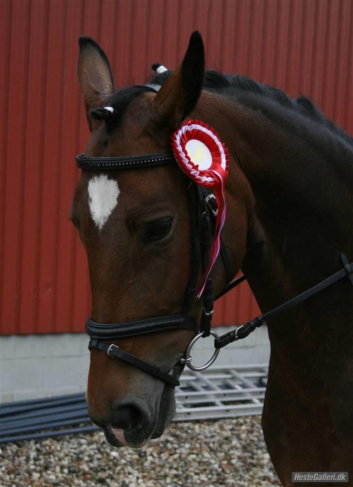 Oldenborg schousboes freja - hel figur :) billede 1