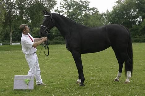 Oldenborg Frederikke af Hvorvarp - Frederikke til den første kåring, hvor hun vandt. billede 1