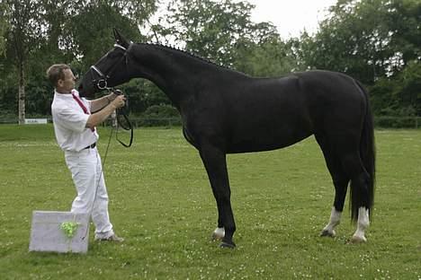 Oldenborg Frederikke af Hvorvarp - frederikke til kåring :D billede 2