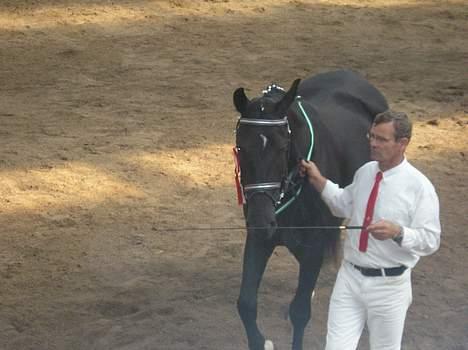 Oldenborg Frederikke af Hvorvarp - Her har hun fået sin medalje :D billede 5