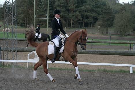 DSP Samson  (solgt) - stævne.. billede 8