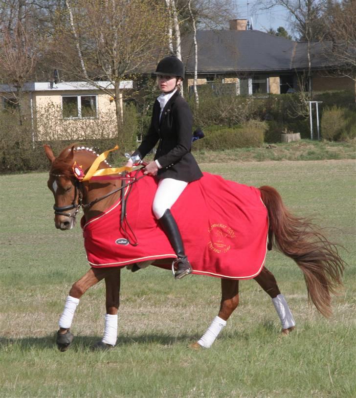 DSP Samson  (solgt) - klubmesterskab 2006 ;D billede 9