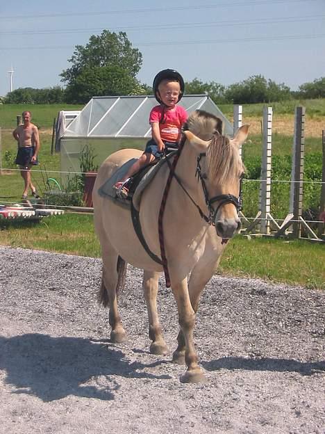 Fjordhest Lotte R.I.P.  - Lotte og Kristina er ude og ride en tur billede 15