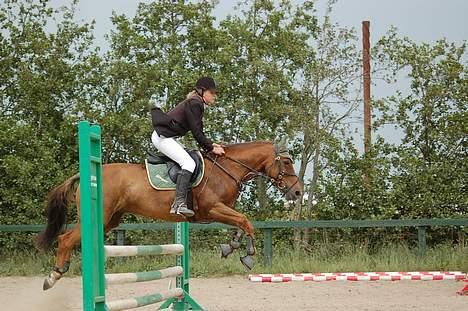 DSP Englykkes Ginger - Lb i FRH, juni 2006 billede 13