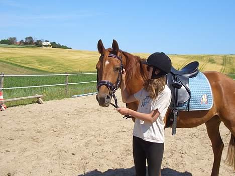 Anden særlig race MACCOY - Spænder lige alt efter!. Fotograf: Fætter Martin billede 16