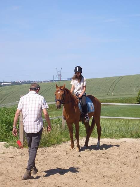 Anden særlig race MACCOY - Nu skal far lige hjælpe lidt til :-P!. Fotograf: Fætter Martin billede 20