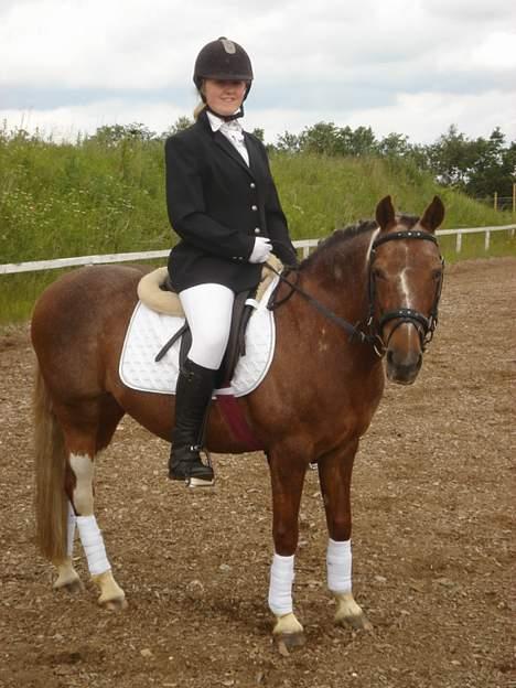 Anden særlig race Sandra [solgt/DØD] <3 - Til stæve på opvarmningen billede 6