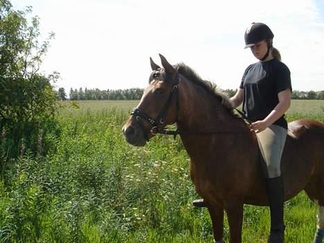 Anden særlig race Sandra [solgt/DØD] <3 billede 8