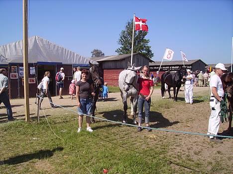 Oldenborg Athene billede 4