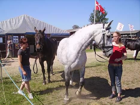 Oldenborg Athene billede 5