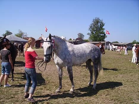 Oldenborg Athene billede 6
