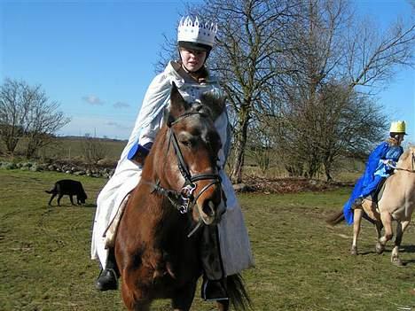 Anden særlig race Zita (død) - Vi skal ud og rasle til fastelavn 2006 billede 3