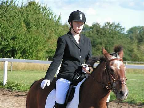 Anden særlig race Zita (død) - Vi rider LC1 - galop til ØLR´s klubstævne den 17 september 2005 billede 5