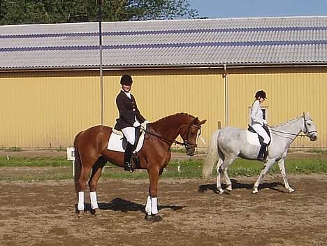 Hannoveraner White Star's Safir*R.I.P* - Safir og jeg, Sommerstævne på Sanderum Rideklub juni 2006 billede 6