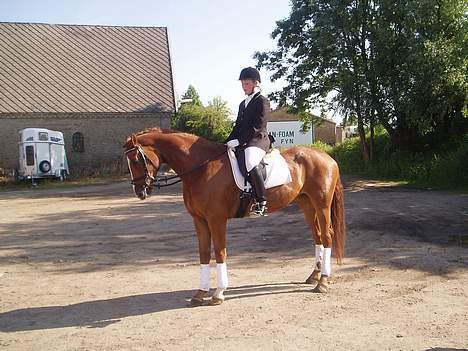 Hannoveraner White Star's Safir*R.I.P* - Safir og jeg, Sommerstævne på Sanderum Rideklub juni 2006 billede 8