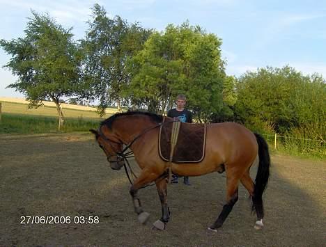 New Forest Nyskovens Actus Solgt - Her kommer jeg i FIN stil.! billede 11
