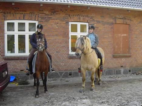 Anden særlig race Zita (død) - Det er Zita længst til venstre... *** :) billede 9