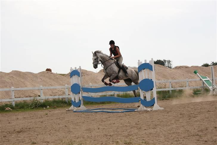 Anden særlig race Dancing Daisy ! !SOLGT! ! - Hun kikker ikke længer på vandet :D Foto: Far billede 11