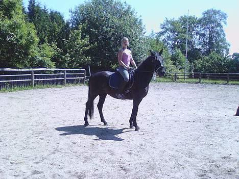 Oldenborg Lucinda -Solgt - lucinda og jeg, fra den 5-7-06 billede 6