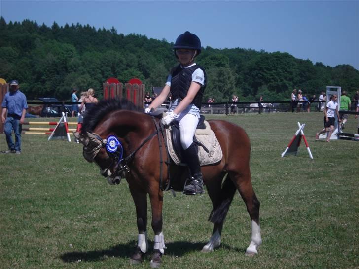 Welsh Mountain (sec A) Kildemose High-Flyer - Flyer & Elisa Klubmesterskab VÆR 2008! nr. 2 fordi min søster og hendes pony lige skulle slå os xD billede 5