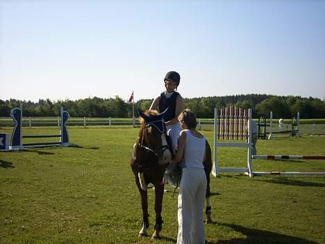 New Forest Cosmo billede 13