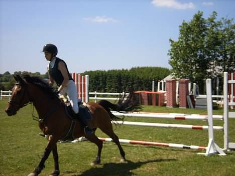 Anden særlig race Comet billede 17