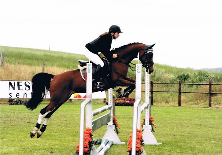 DSP Cedergårdens Toscana - Hirtshals09 uge 30  her i MB med 0-fejl .mit et og alt.. Perfekt uge, perfekt pony. <3 billede 1