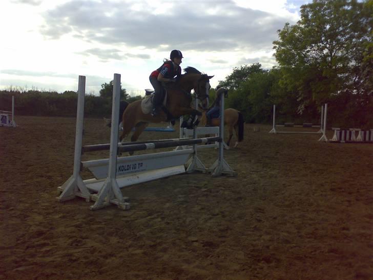 DSP Cedergårdens Toscana - Springtræning maj 2008. Jeg elsker dig mitalt. billede 5