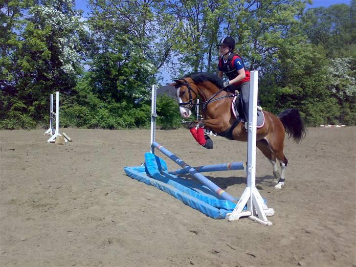 DSP Cedergårdens Toscana - vandgrav sommeren 2008. Jeg elsker dig minskønhed. billede 8