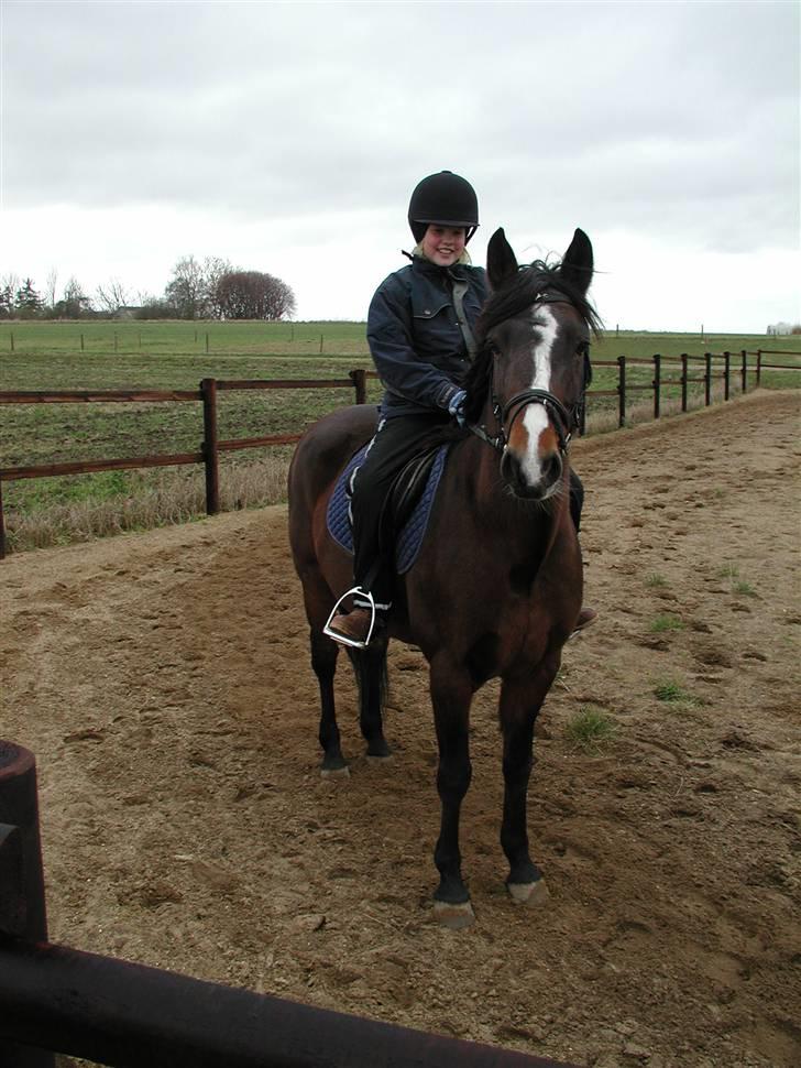 Connemara Hovfelds Cover Girl - mig og cover :)  billede 16