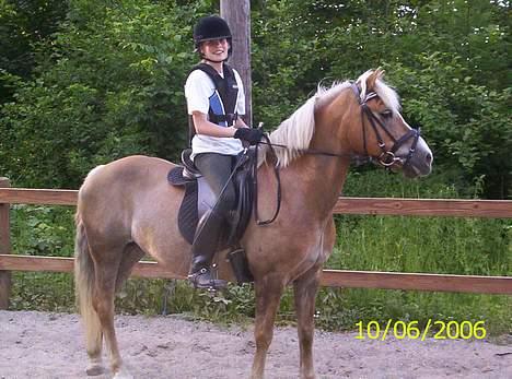 Tyroler Haflinger Molly *savnet <3* - oppe på banen.. en af de første dage jeg rider hende efter jeg fik hende.. billede 3