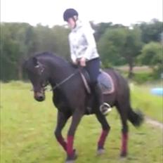 Anden særlig race Emma