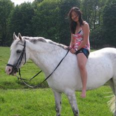 DSP Tranholms Maici *Givet væk*